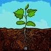 Plant Growth - Single