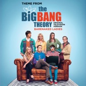 Theme From The Big Bang Theory (Original Television Version) artwork