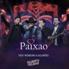 Paixão (feat. Rionegro e Solimões) - Single
