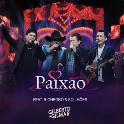 Paixão (feat. Rionegro e Solimões) - Single - Gilberto e Gilmar