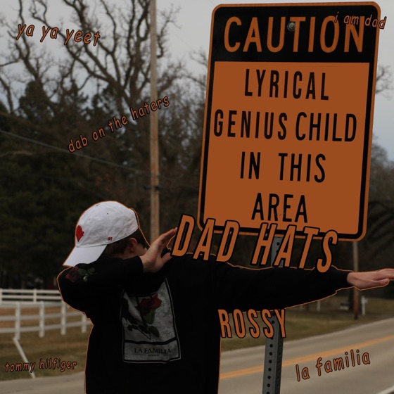 Cover artwork for Dad Hats