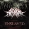 Enslaved (feat. Rocky Doyle & Shane Sabourin) artwork