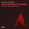 The Wonders of Wishing (Dantiez & Killed Kassette Remix) - Single