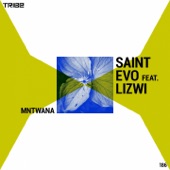 Mntwana (feat. Lizwi) [Instrumental] artwork