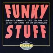Funky Stuff: The Best of Funk Essentials artwork