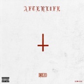 Afterlife artwork