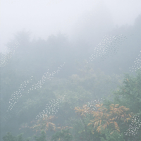 Chihei Hatakeyama - Mist artwork