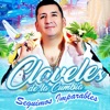 Yo No Te Hago Falta by Claveles de la Cumbia iTunes Track 1