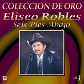 Eliseo Robles - La Enorme Distancia