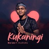 Kukaningi (feat. Musiholiq) - Single, 2020
