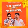 To Te Filmando (Sorria) / Meu Bem Querer - Single