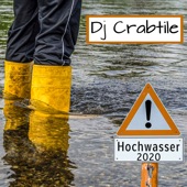 Hochwasser 2020 (Instrumental version) artwork