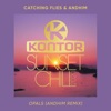 Catching Flies - Opals (Andhim Remix)