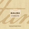 Malibu - Single, 2020