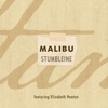 Malibu - Single