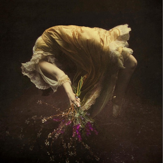 Cover artwork for Aviary