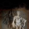 The Purifier - Lorn & Edwárd lyrics