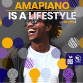 Amapiano Is a Lifestyle, Vol. 2 artwork