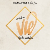 C'est la vie (qu'on oublie) artwork