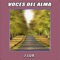 Voces del Alma - J Lux lyrics