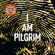 Terry Hayes - I Am Pilgrim