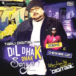 DIL DHAK DHAK SONIYE cover art