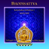 Bhodisattva: Kalachakra Initiation 2 (Solfeggio 528 DNA Repair) artwork
