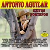 Antonio Aguilar - Estando Contigo Chata