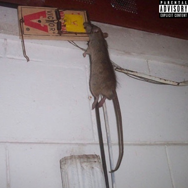 Rat On the Wall (feat. Young Lil Egg Roll & Rocko) - Single - Skinny Penis