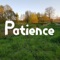 Patience artwork