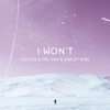 I Won't - Single