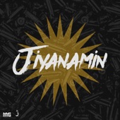 Jiyanamin (feat. Sherif Omeri, Gohdar, XEM, Xalaz, Street Baba, deniz dersim, Rohat46 & u.vato) artwork