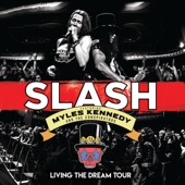 Living the Dream Tour (feat. Myles Kennedy & the Conspirators) [Live] artwork