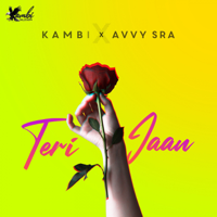 KAMBI - Teri Jaan (feat. Avvy Sra) - Single artwork