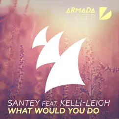 What Would You Do (feat. Kelli-Leigh) Song Lyrics