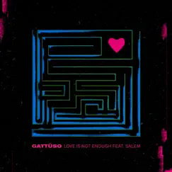 Love Is Not Enough (feat. Salem) - Single by GATTÜSO album reviews, ratings, credits