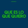 Que Es Lo Que Quiero - Single