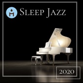 Sleep Jazz 2020 – Slow and Soft Piano Jazz Songs to Play When You Go to Sleep at Night artwork