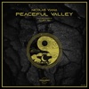 Peaceful Valley - EP