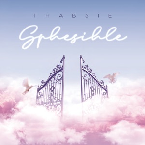 Sphesihle (feat. Mthunzi) - Single