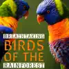 Breathtaking Birds of the Rainforest - Nature Sounds for Relaxation album lyrics, reviews, download