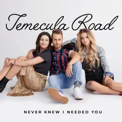 Never Knew I Needed You - Single by Temecula Road album reviews, ratings, credits