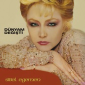 Dünyam Değişti artwork