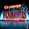 Flamantes De Corazon - Te Sigo Amando