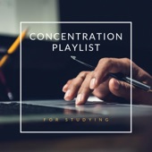 Concentration Playlist for Studying artwork