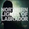 Northern Lights of Labrador - Derina Harvey Band lyrics