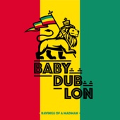 Babydublon artwork