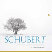 Schubert: Piano Sonatas, D. 157 & 960 artwork