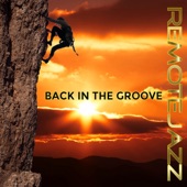 Back in the Groove artwork