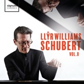 Schubert - Vol. 8 artwork